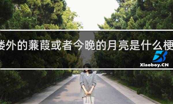 楼外的蒹葭或者今晚的月亮是什么梗什么梗