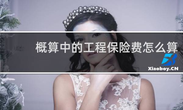 概算中的工程保险费怎么算