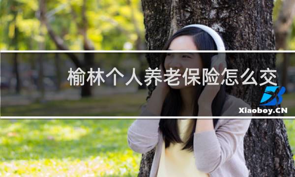 榆林个人养老保险怎么交