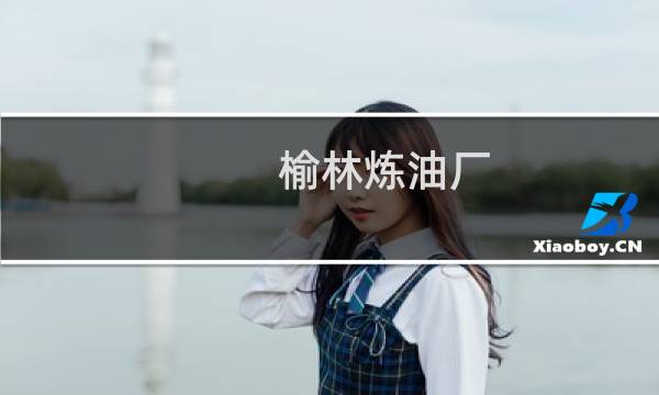 榆林炼油厂图片