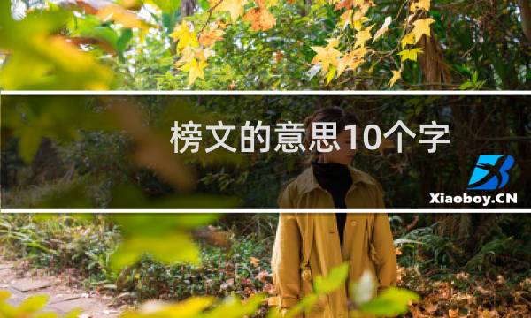 榜文的意思10个字