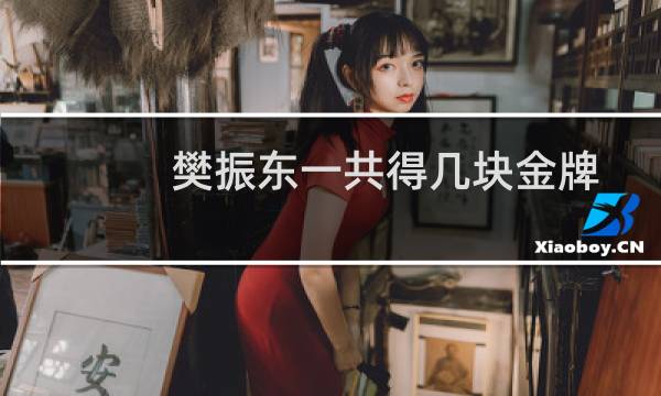 樊振东一共得几块金牌