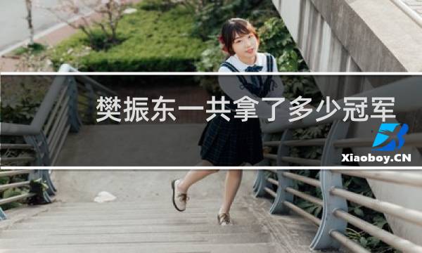樊振东一共拿了多少冠军
