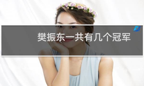 樊振东一共有几个冠军