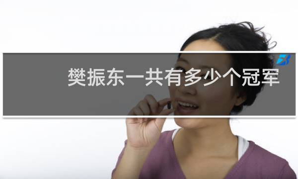樊振东一共有多少个冠军