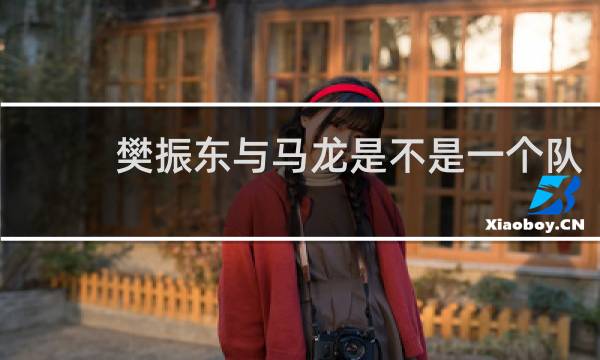 樊振东与马龙是不是一个队