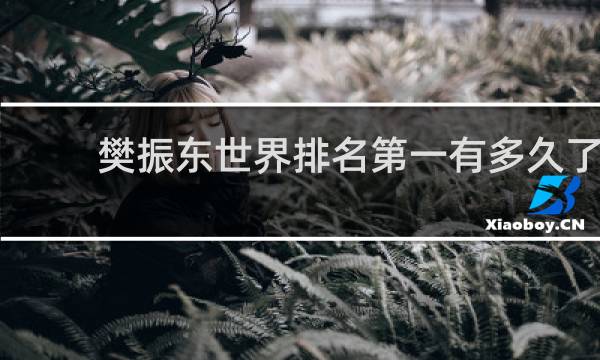 樊振东世界排名第一有多久了