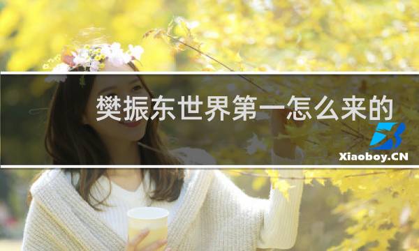 樊振东世界第一怎么来的