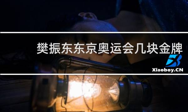 樊振东东京奥运会几块金牌