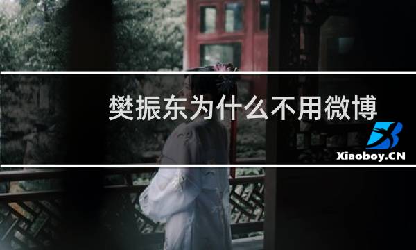 樊振东为什么不用微博
