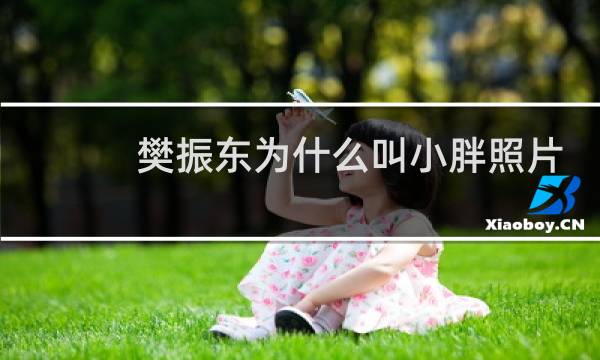 樊振东为什么叫小胖照片