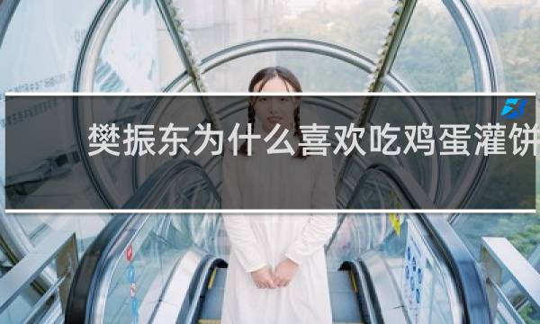 樊振东为什么喜欢吃鸡蛋灌饼