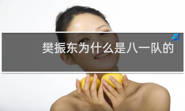 樊振东为什么是八一队的
