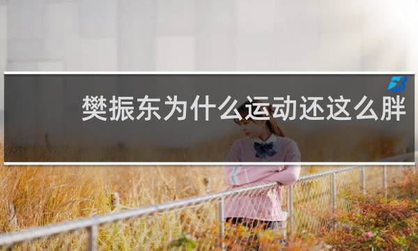 樊振东为什么运动还这么胖