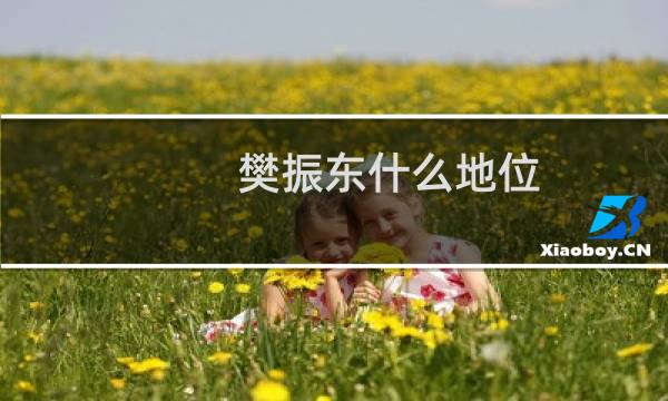 樊振东什么地位