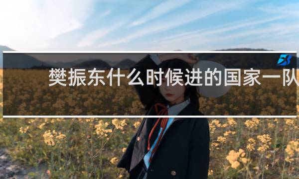 樊振东什么时候进的国家一队