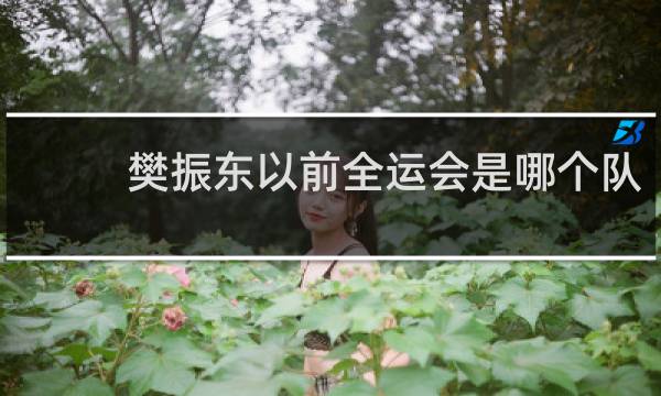 樊振东以前全运会是哪个队