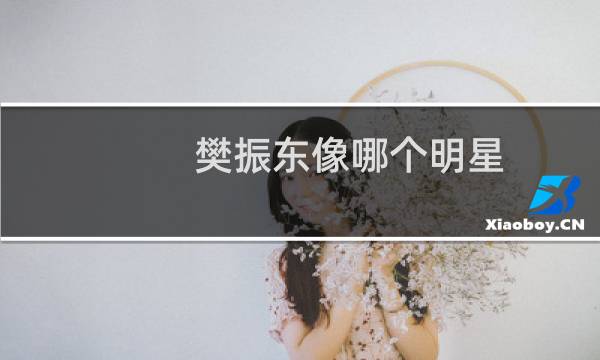 樊振东像哪个明星