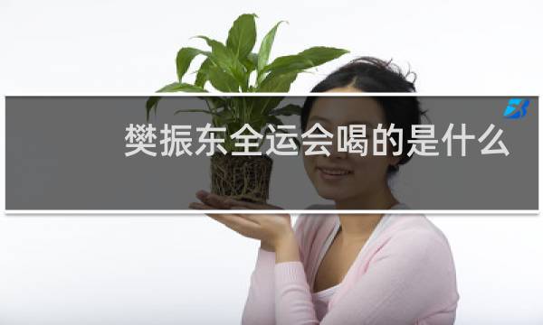樊振东全运会喝的是什么