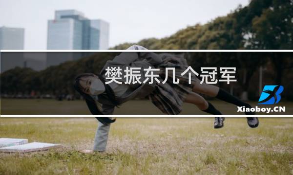 樊振东几个冠军