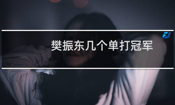 樊振东几个单打冠军