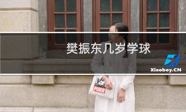 樊振东几岁学球