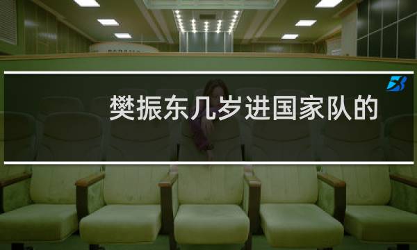 樊振东几岁进国家队的