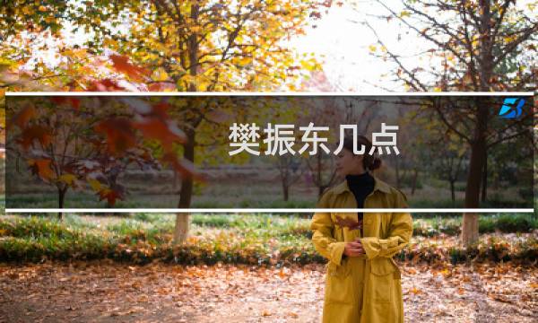 樊振东几点