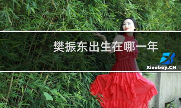 樊振东出生在哪一年