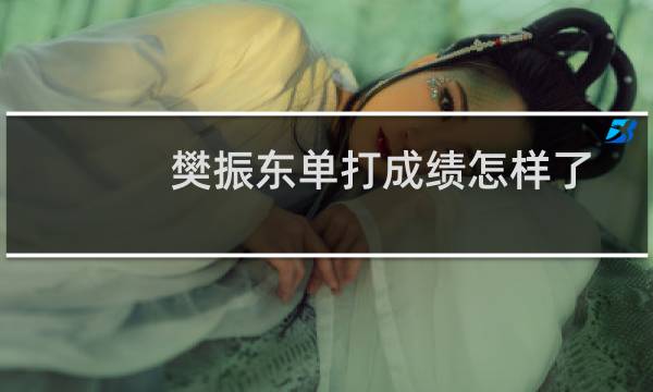 樊振东单打成绩怎样了