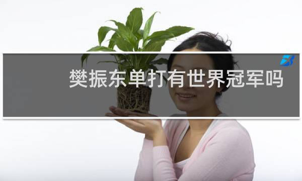樊振东单打有世界冠军吗