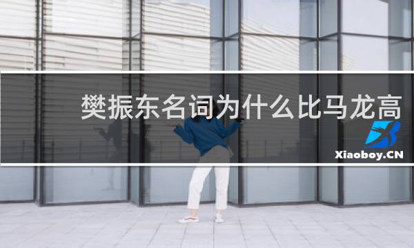 樊振东名词为什么比马龙高