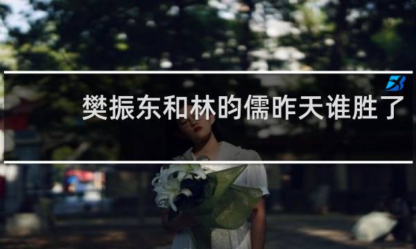 樊振东和林昀儒昨天谁胜了