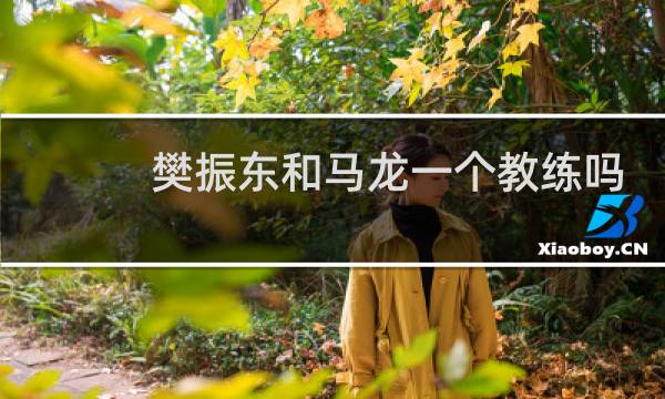 樊振东和马龙一个教练吗