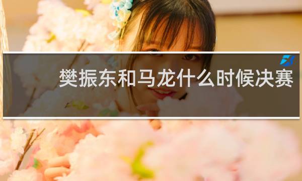 樊振东和马龙什么时候决赛