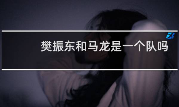樊振东和马龙是一个队吗
