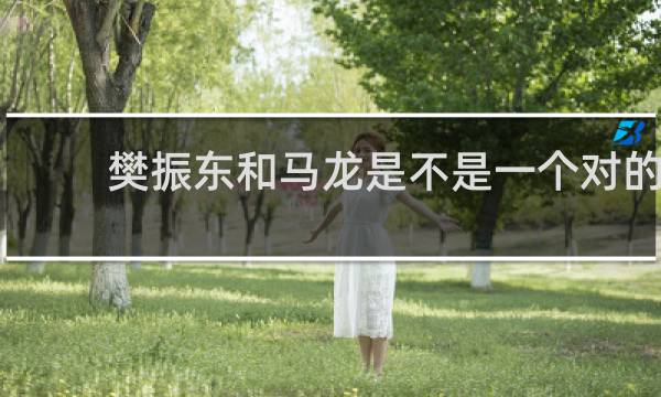 樊振东和马龙是不是一个对的