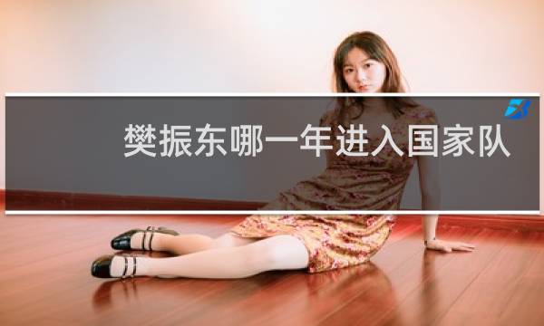 樊振东哪一年进入国家队