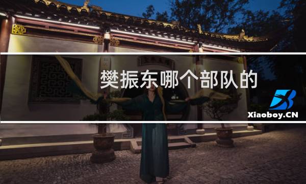 樊振东哪个部队的