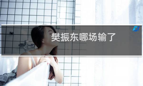 樊振东哪场输了