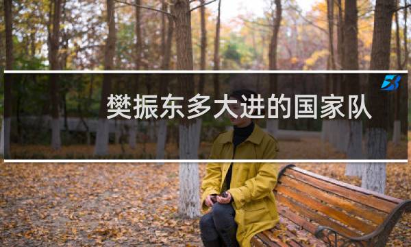 樊振东多大进的国家队
