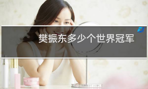 樊振东多少个世界冠军