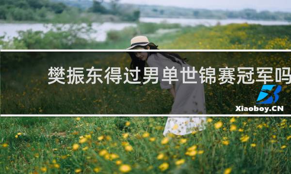 樊振东得过男单世锦赛冠军吗