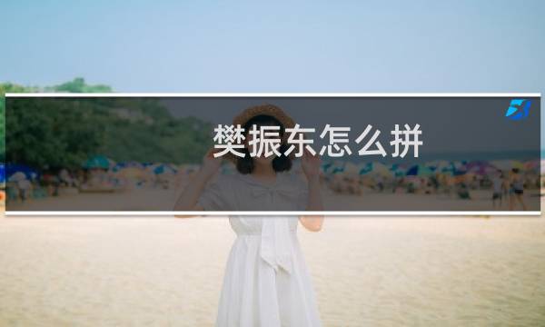 樊振东怎么拼