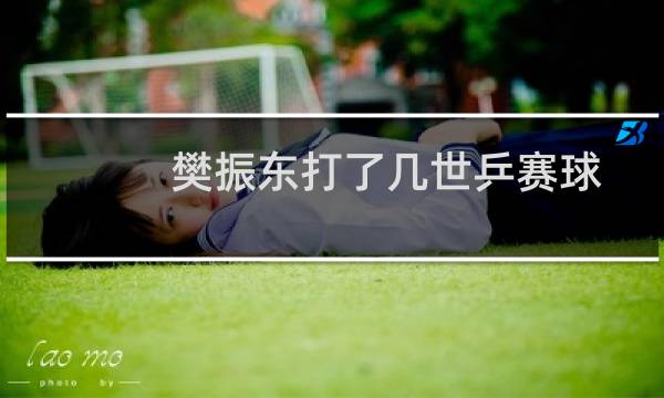 樊振东打了几世乒赛球