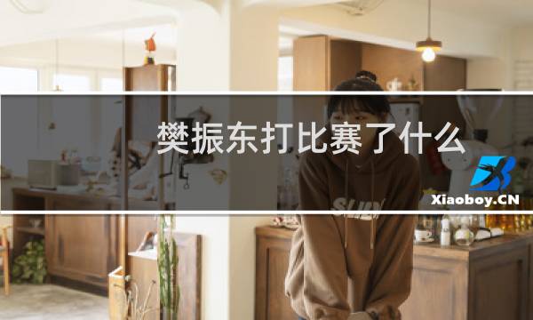 樊振东打比赛了什么