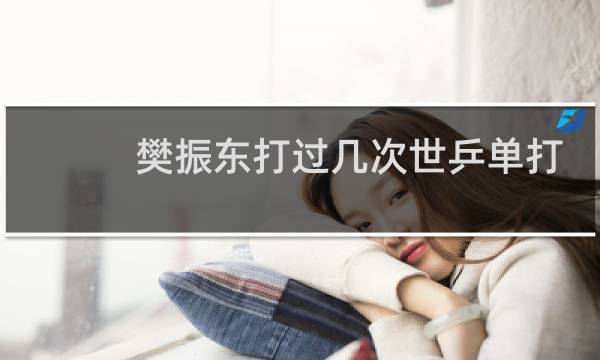 樊振东打过几次世乒单打