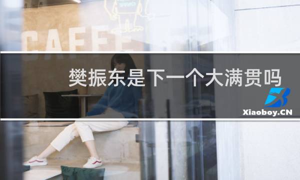 樊振东是下一个大满贯吗