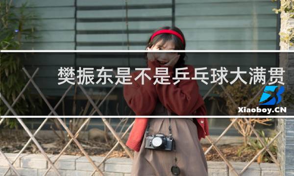 樊振东是不是乒乓球大满贯