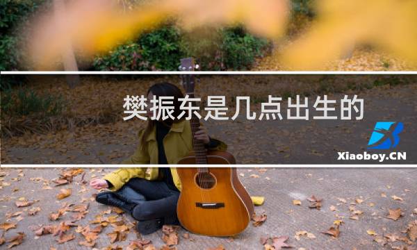 樊振东是几点出生的